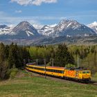 Farbtupfer in der Tatra