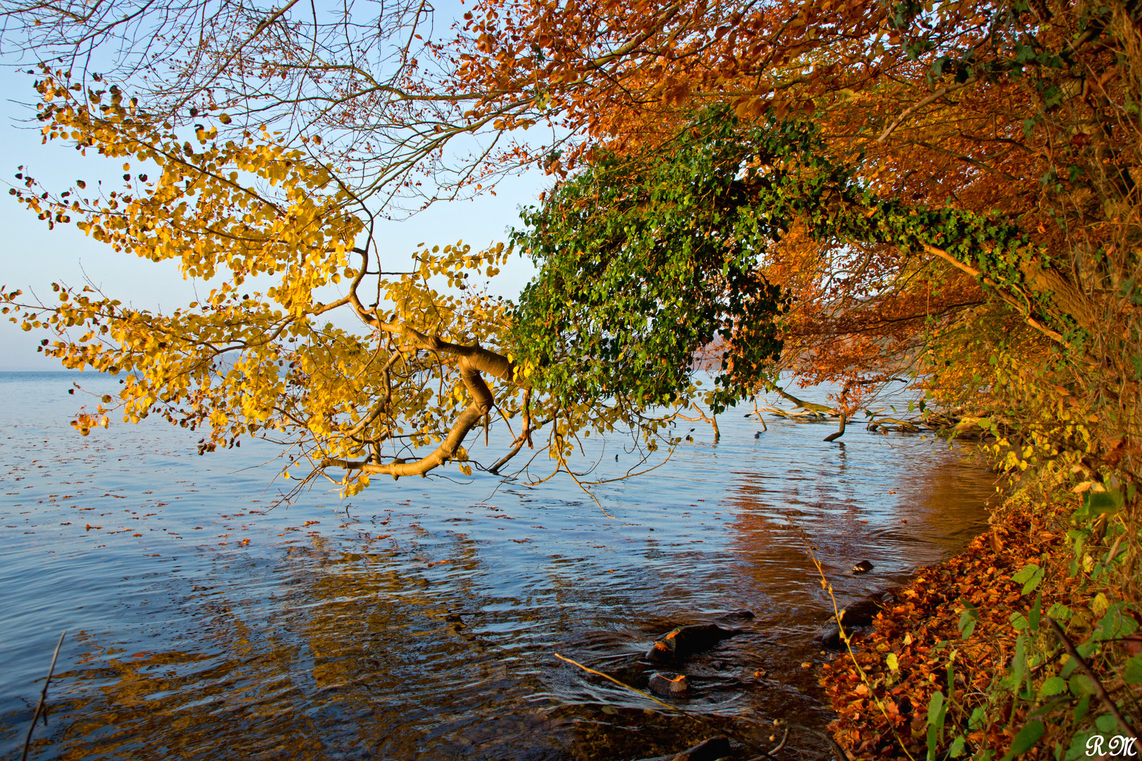 Farbvariationen des Herbstes