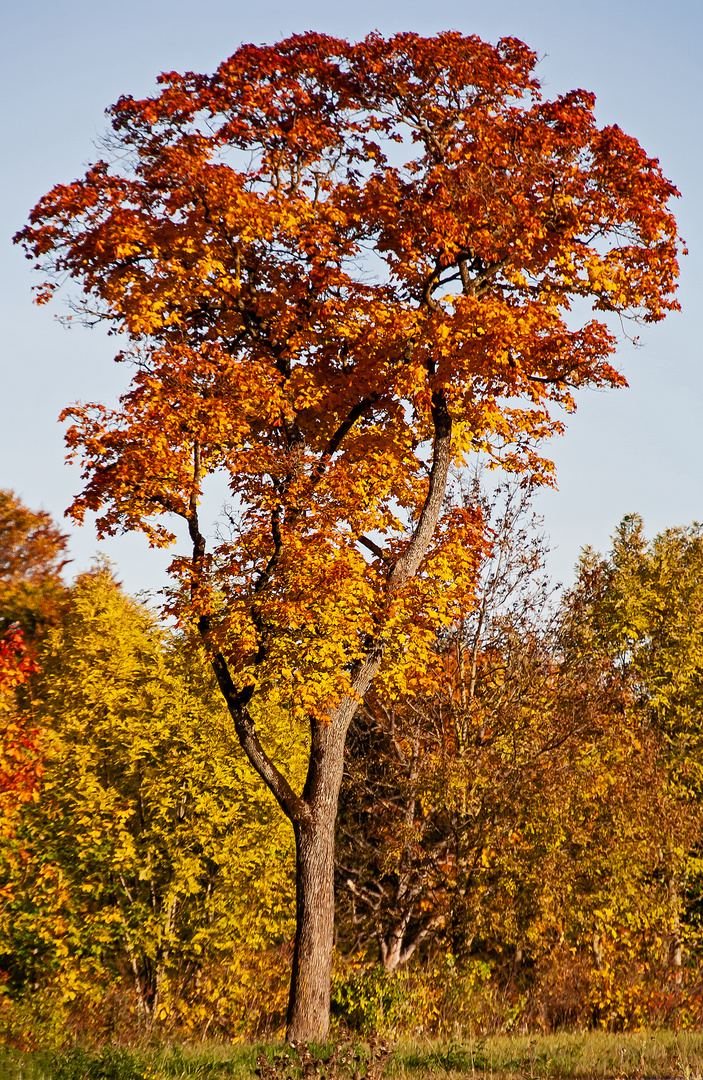 Farbverlauf