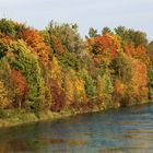 Farbvielfalt am Fluss