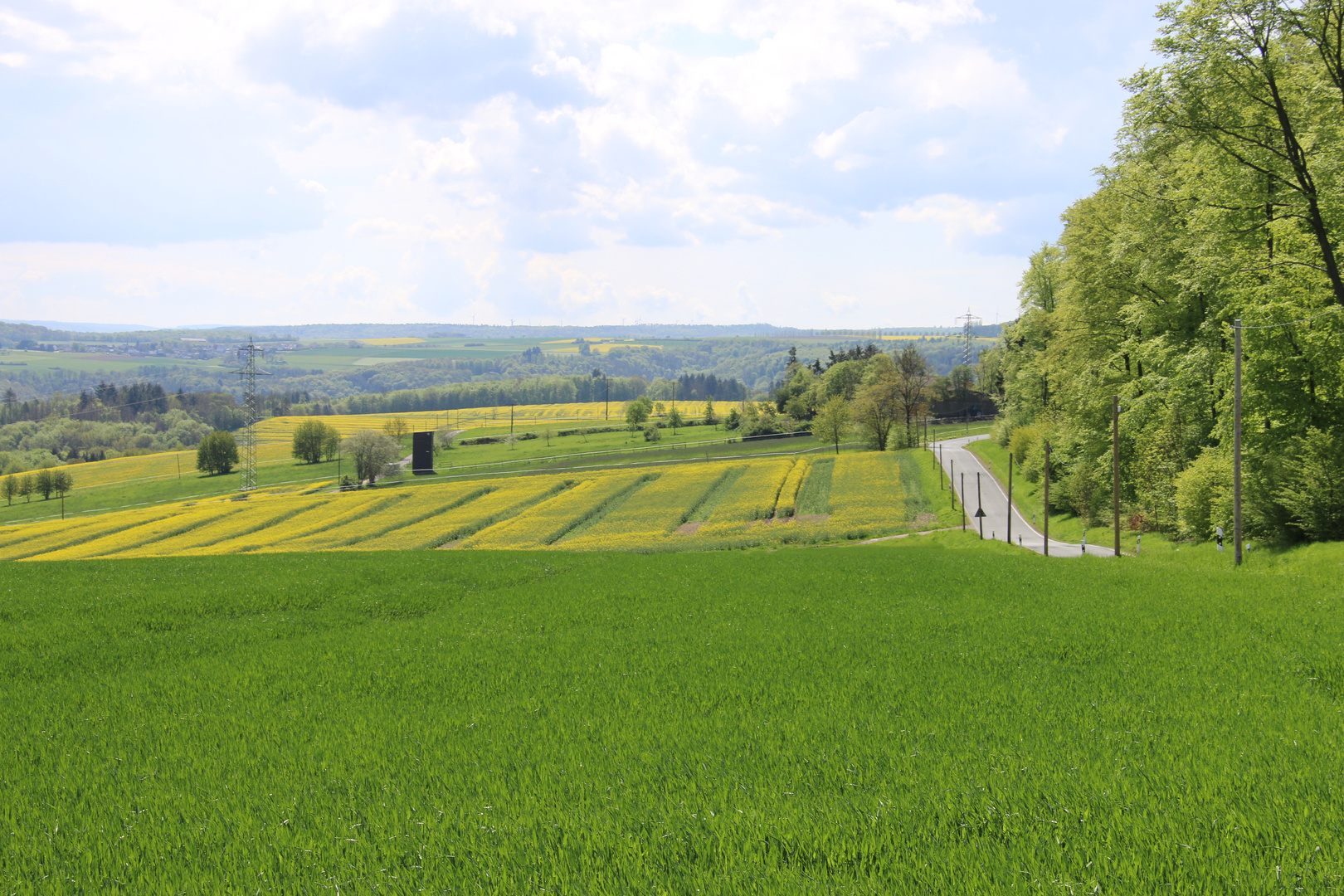 Farbvielfalt der Natur