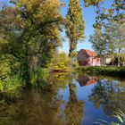 Farbvielfalt im Herbst