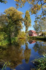 Farbvielfalt im Herbst