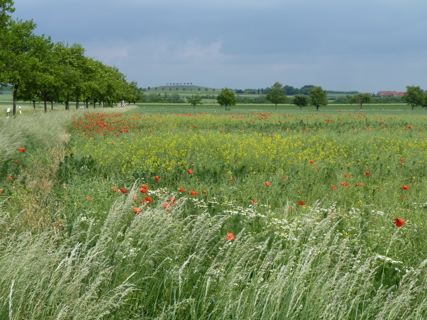 Farbwechsel