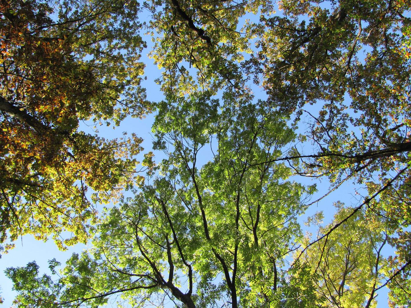 Farbwechsel am Himmel