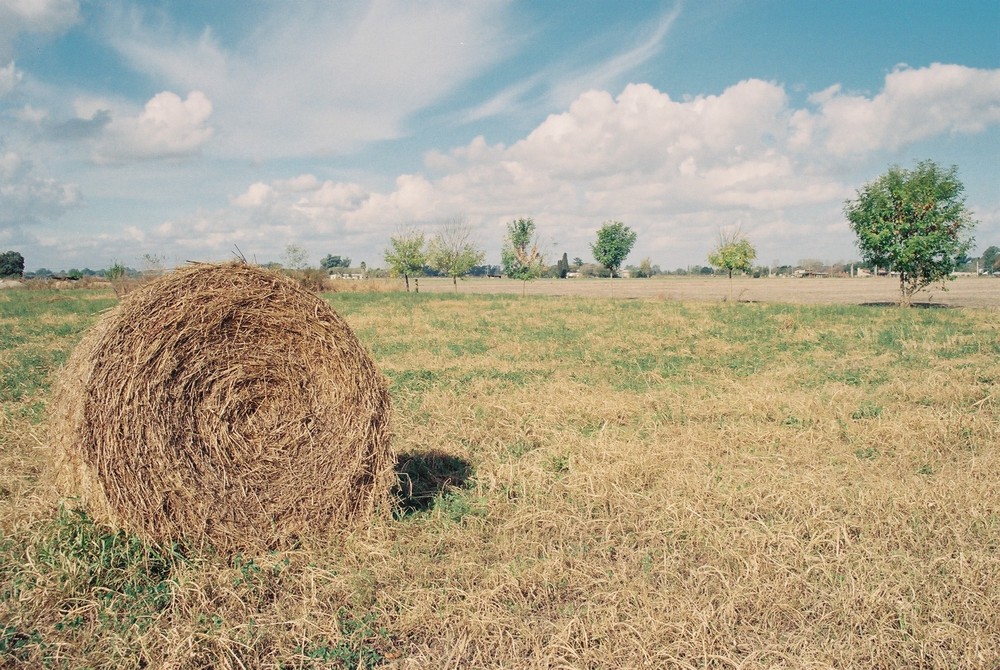 Fardo en el campo