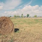 Fardo en el campo