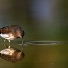 fare cerchi nell'acqua