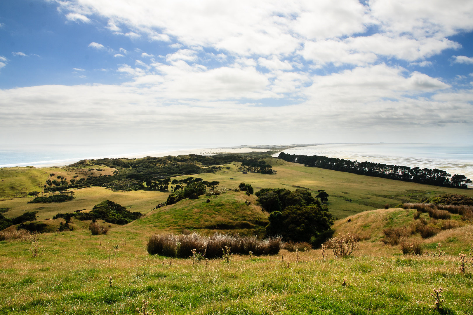 Farewell Spit