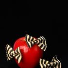 Farfalle Zebra in love