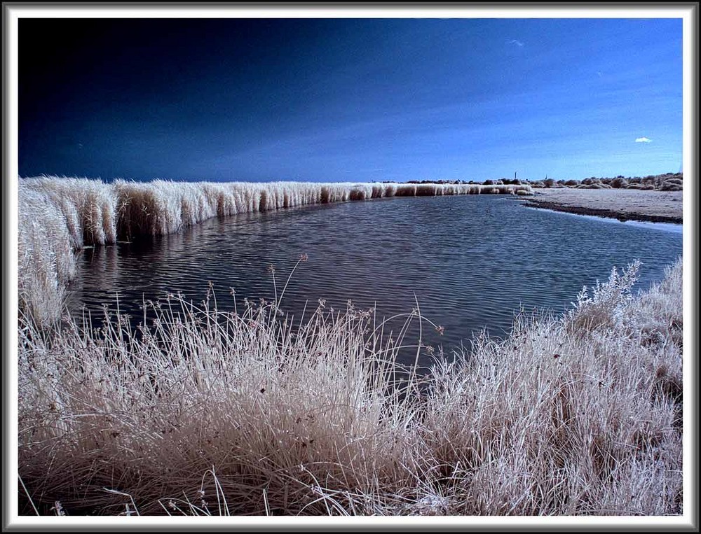 Farlington marshes 3