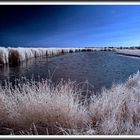 Farlington marshes 3