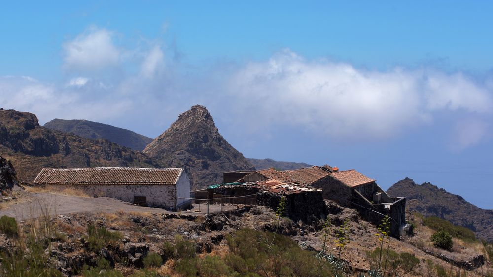 Farm above the clouds