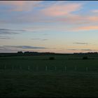 Farm at morning (New Zealand near Invercargill)