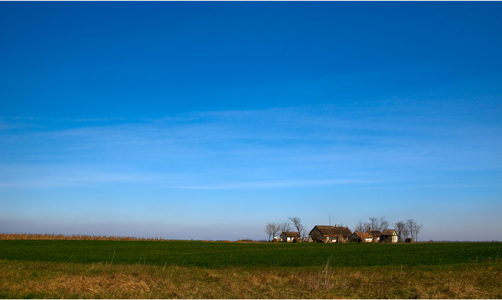 Farm at Spring