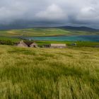 Farm auf Orkney