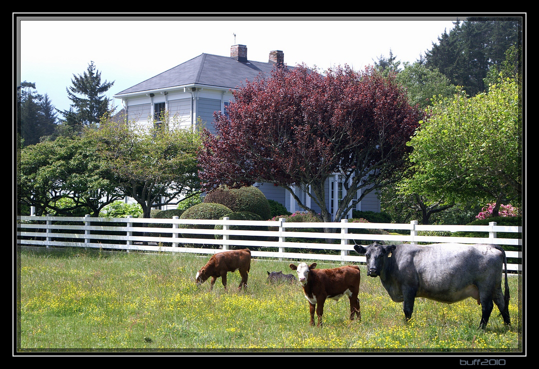 Farm bei Ferndale California