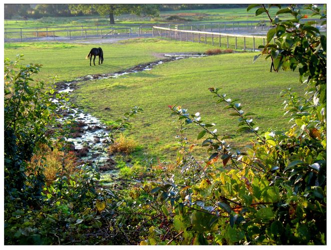 farm feeling