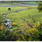 farm feeling