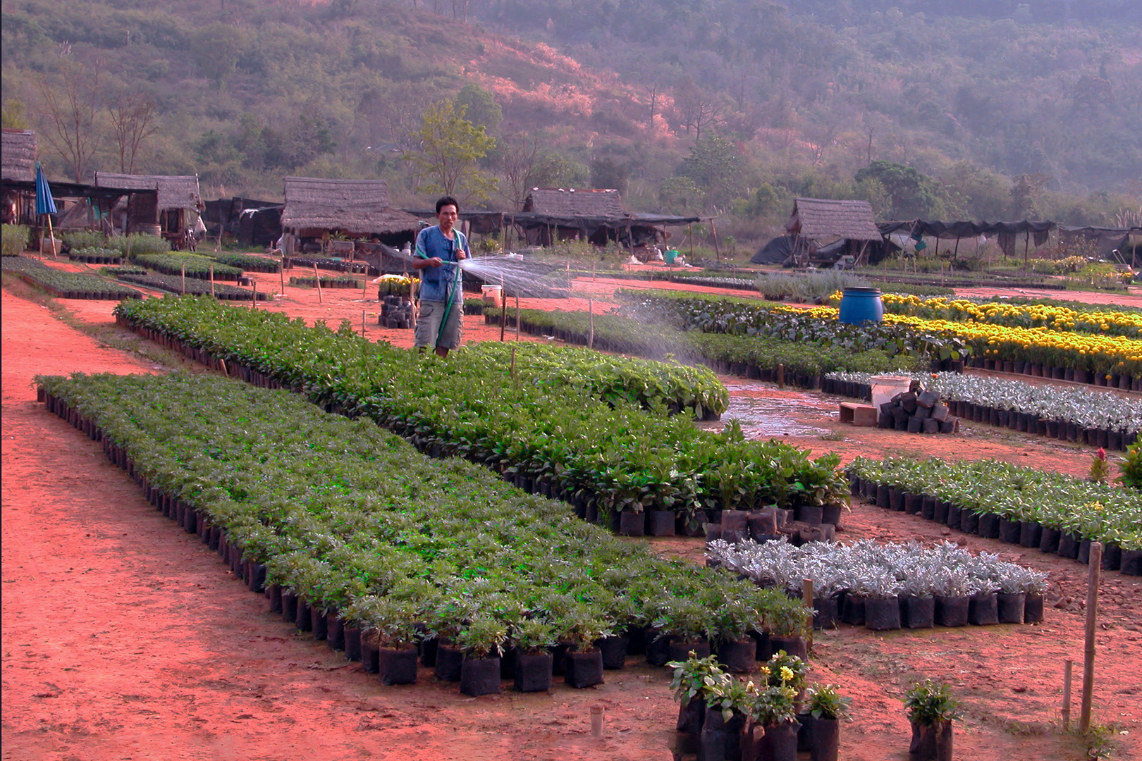 Farm for crowing garden plants