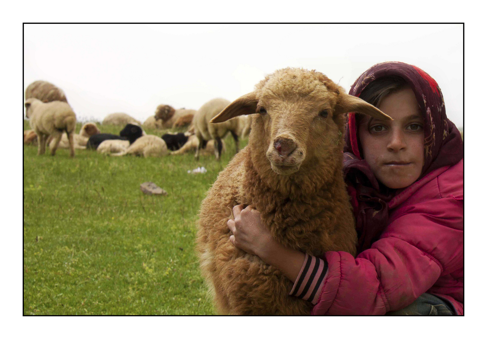 Farm Girl