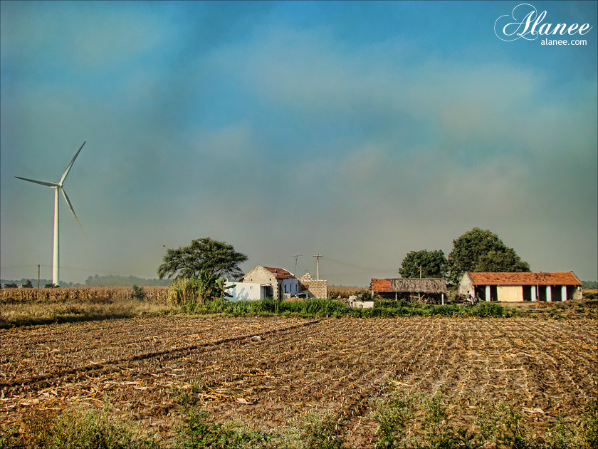 Farm houses