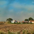 Farm houses