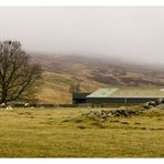 Farm im Glen Quaich 