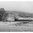 Farm im Glen Quaich (b/w)