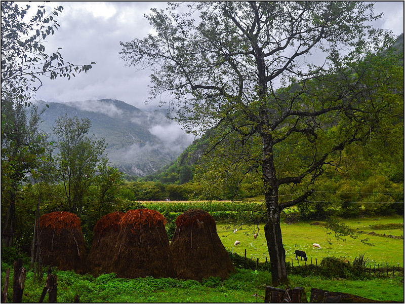 Farm in albanian alps