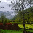 Farm in albanian alps