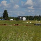 Farm in B.C. Canada