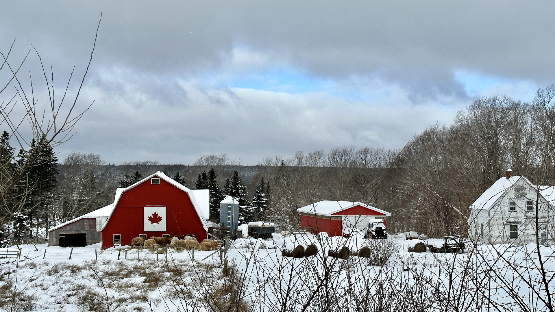 Farm in Canada