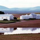 Farm in Montana