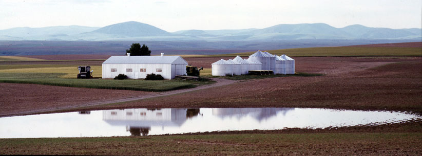 Farm in Montana