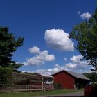 Farm in New Jersey