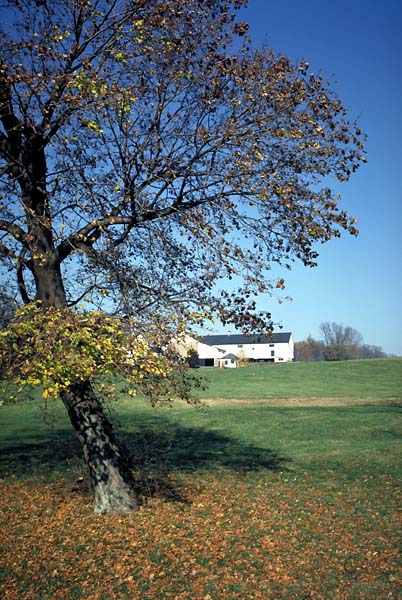 Farm in Pennsylvania