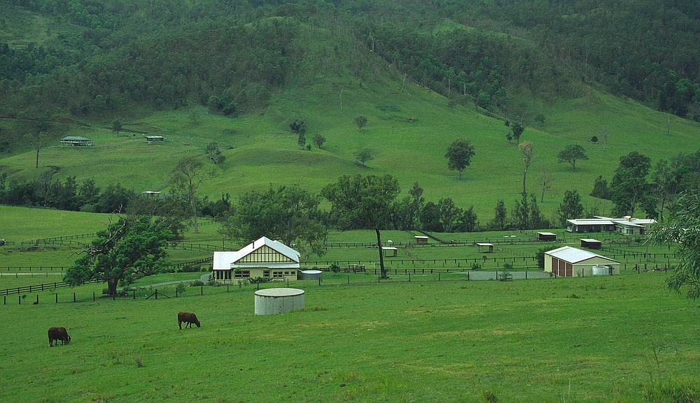 Farm in Queensland