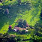 Farm in the mountains of Colombia