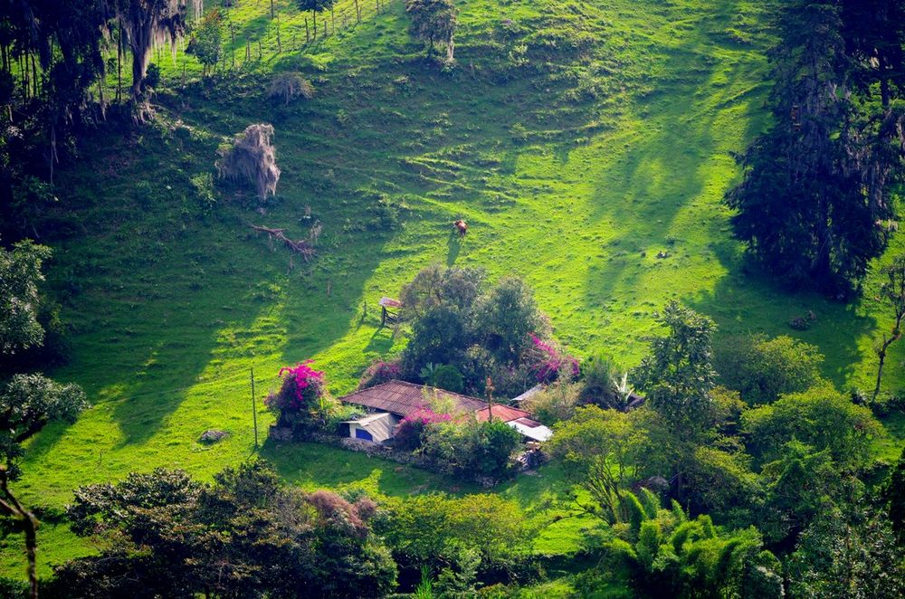 Farm in the mountains of Colombia