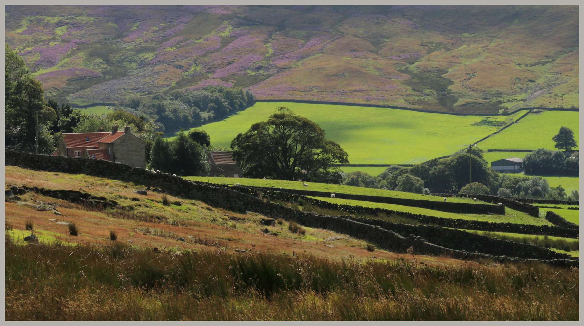 farm in westerdale North Yorkshire 3