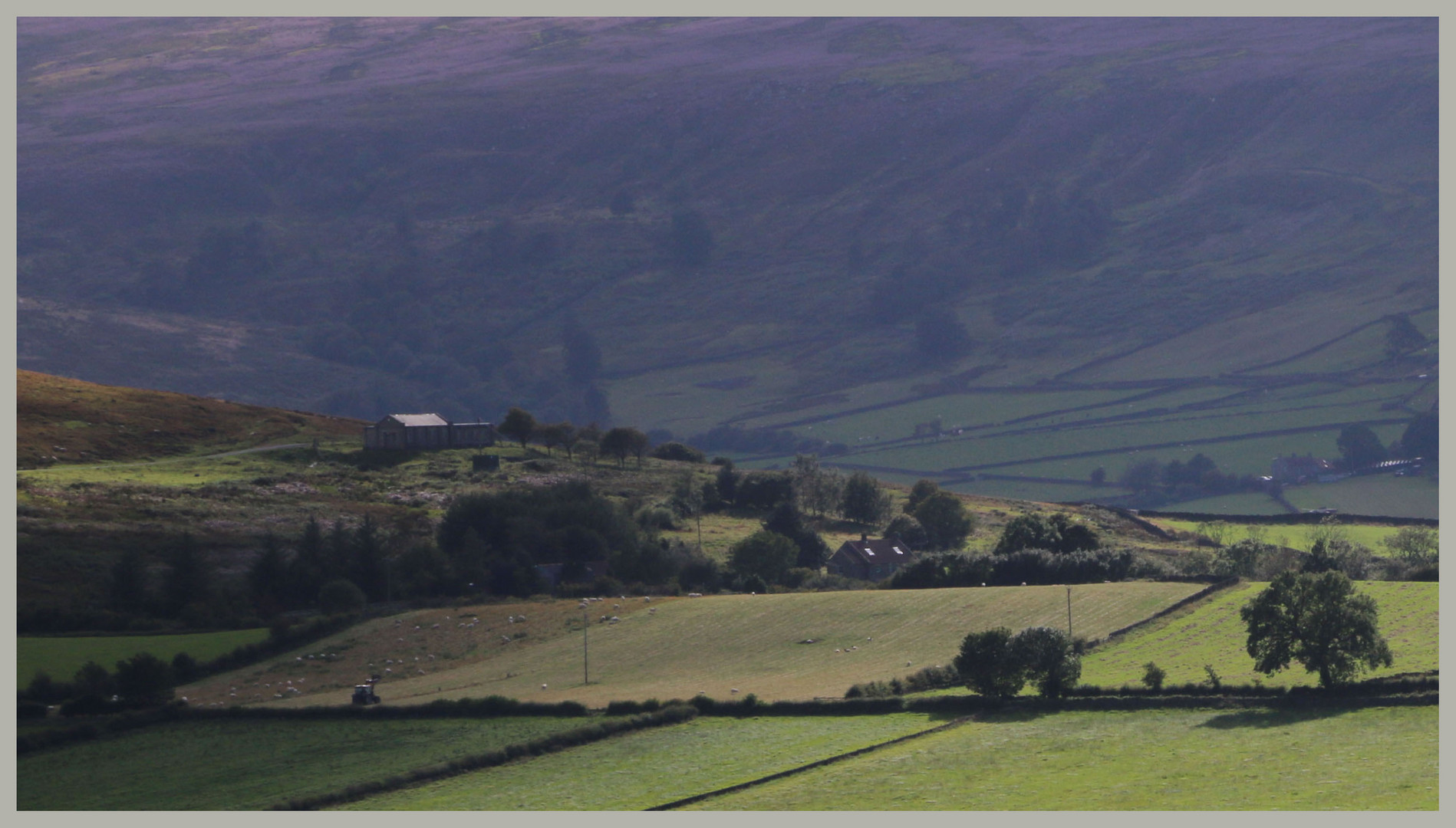 farm in westerdale North Yorkshire photo & image landscape, fields