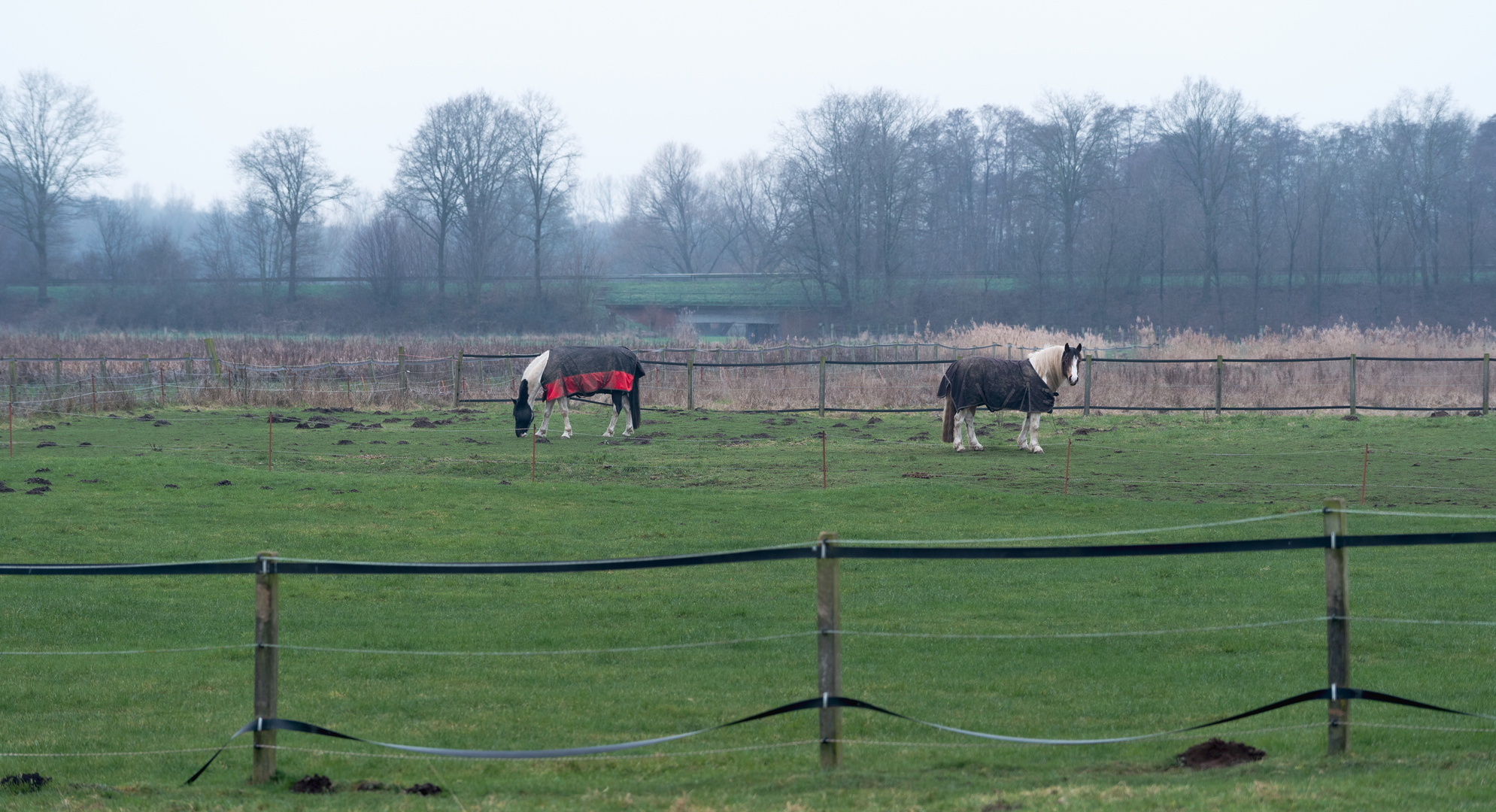 Farm in Winter