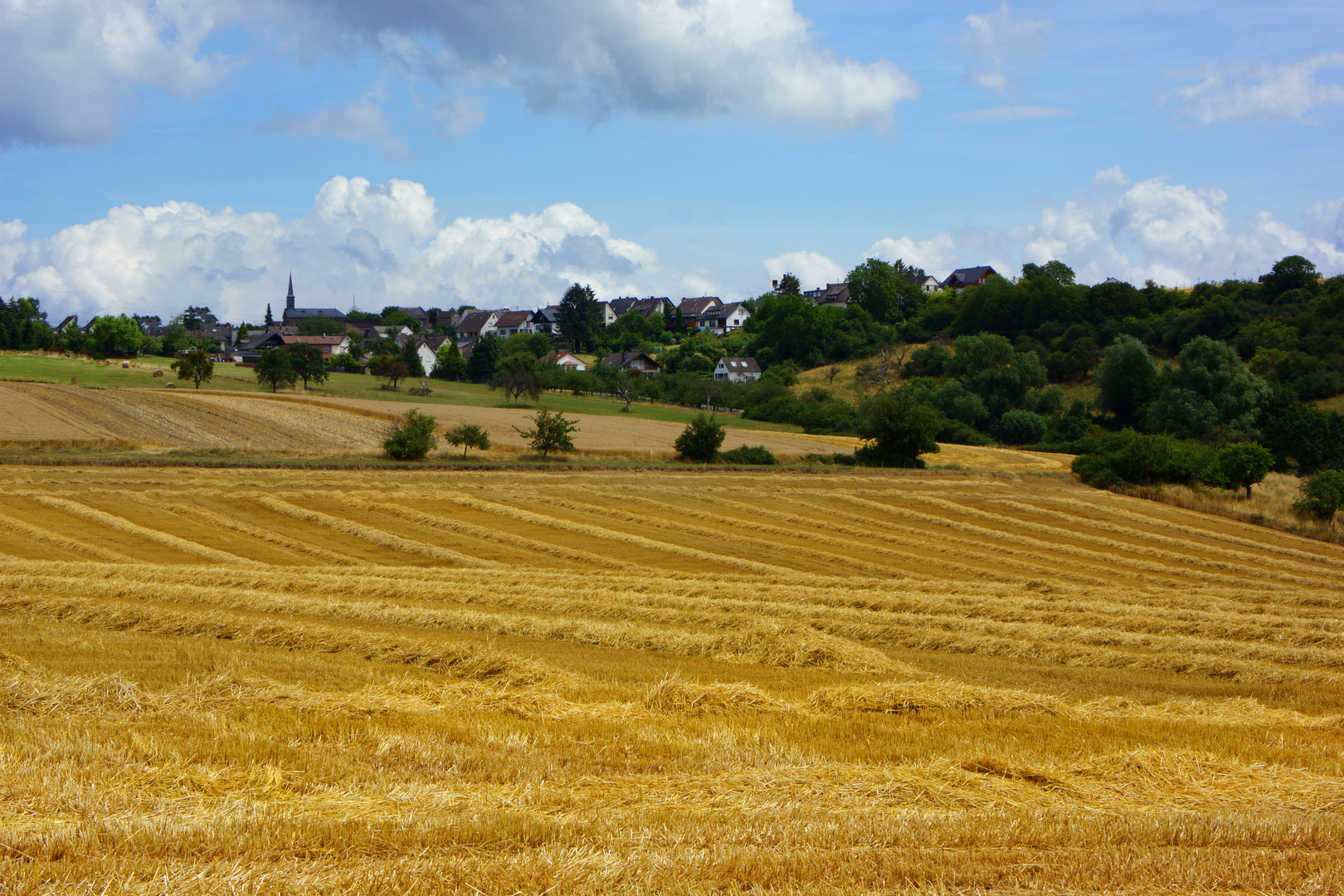 farm lands of germany