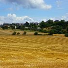 farm lands of germany