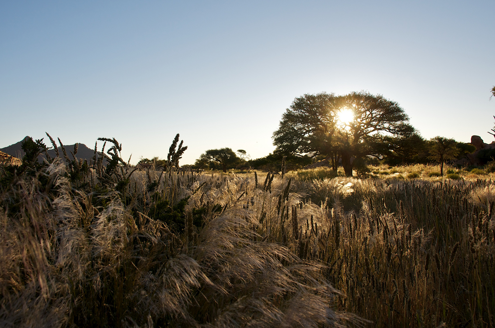 Farm Namtib - Sonnenuntergang