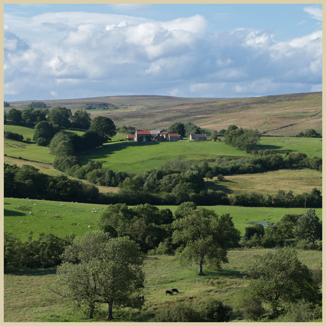 farm near castleton 1