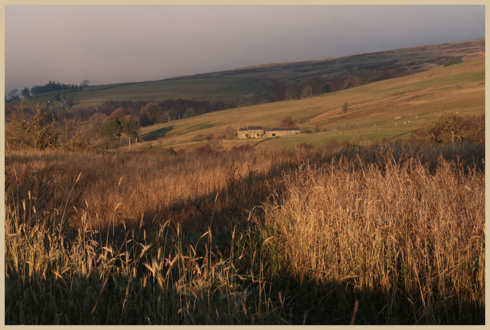 farm near knarsdale