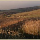 farm near knarsdale