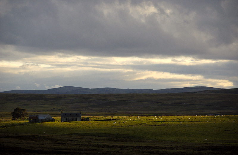 Farm on Cranoch Moor